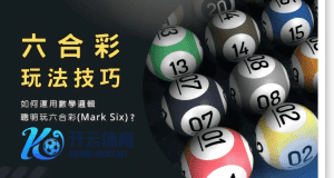 开云体育平台官方网站彩票六合彩玩法 - 投注技巧